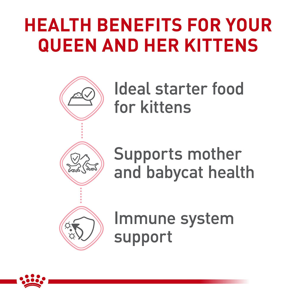 ROYAL CANIN femme donnant la pâtée à une chatte mère, soutien énergétique