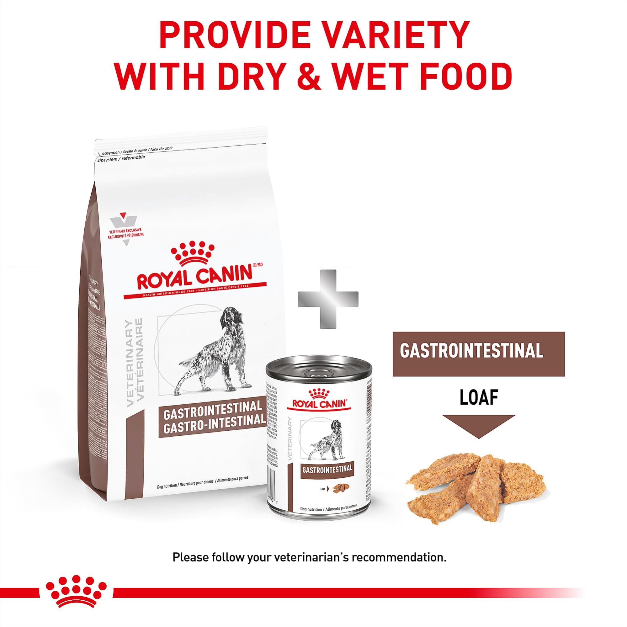 ROYAL CANIN illustration des fibres prébiotiques et leur effet sur microbiome