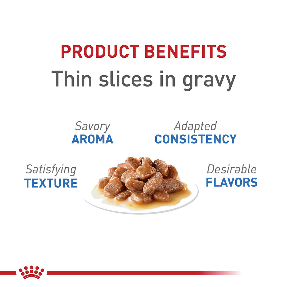 ROYAL CANIN fines tranches gros plan en sauce, appétence et texture tendre pour chat