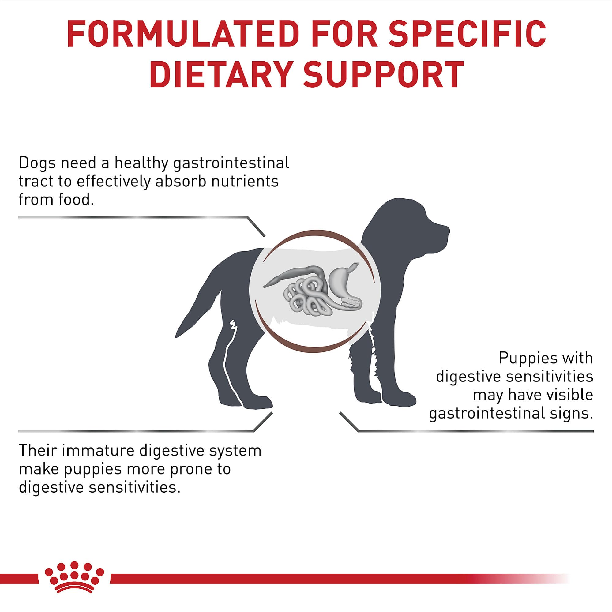 Royal Canin ingrédients clés affichés pour support du microbiome