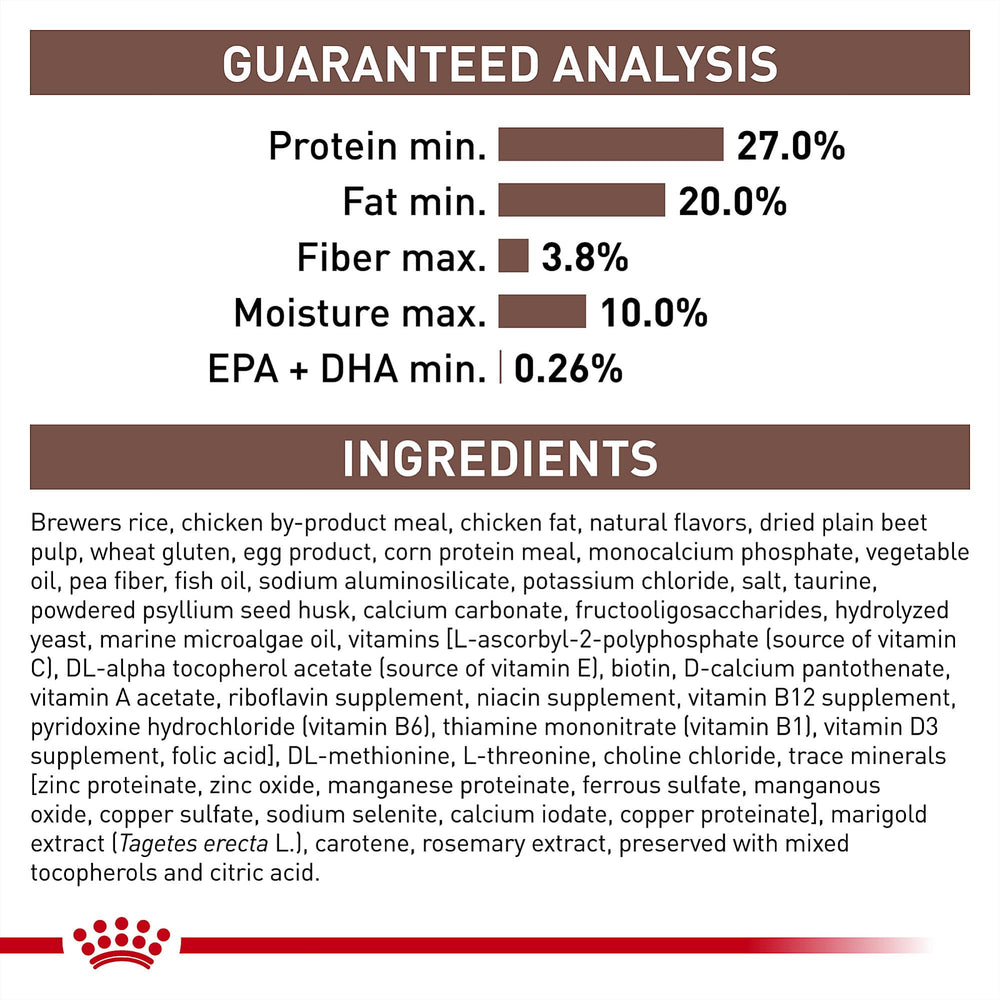 Royal Canin bol servi montrant portion quotidienne et facilité d'utilisation