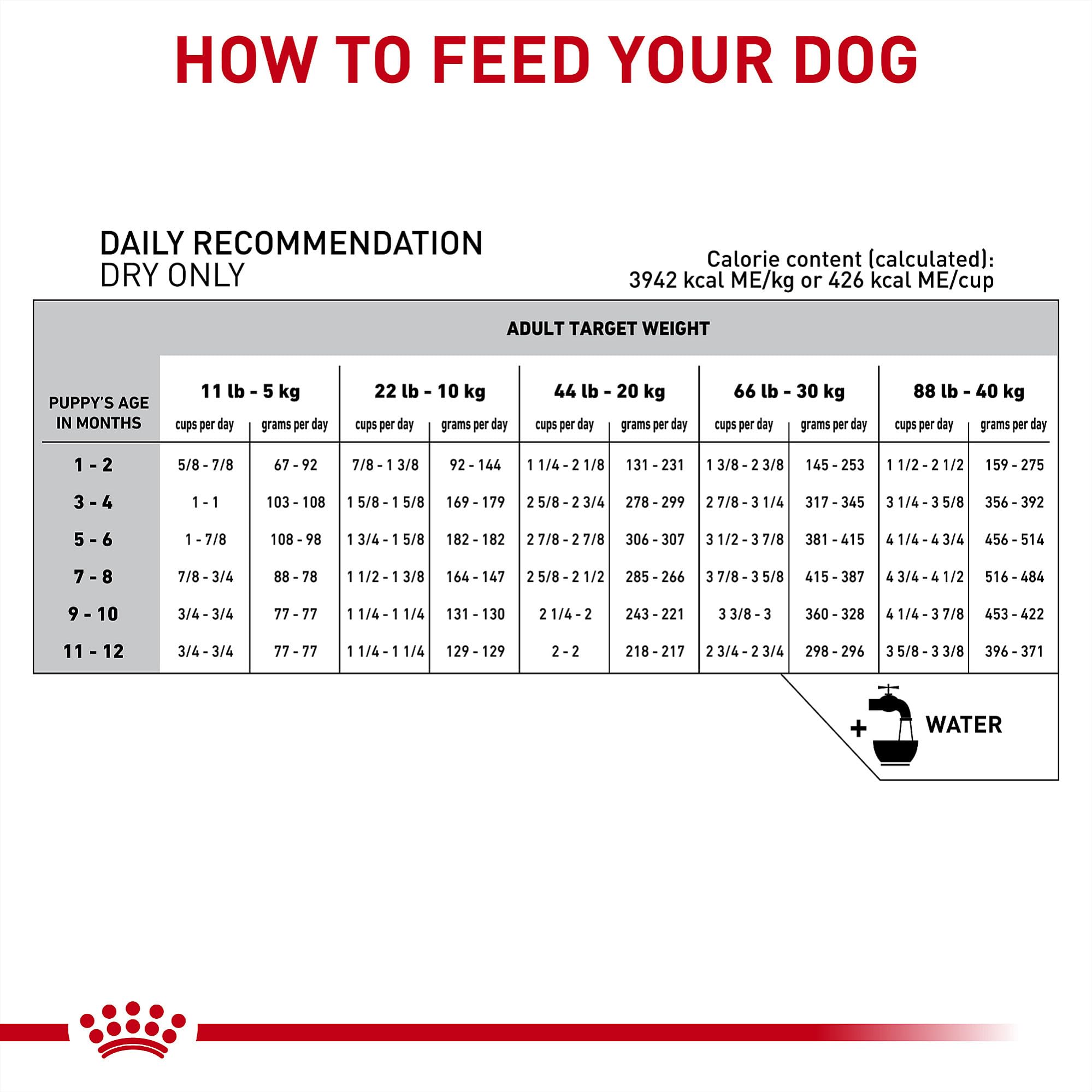 Royal Canin usage vétérinaire en clinique pour alimentation thérapeutique