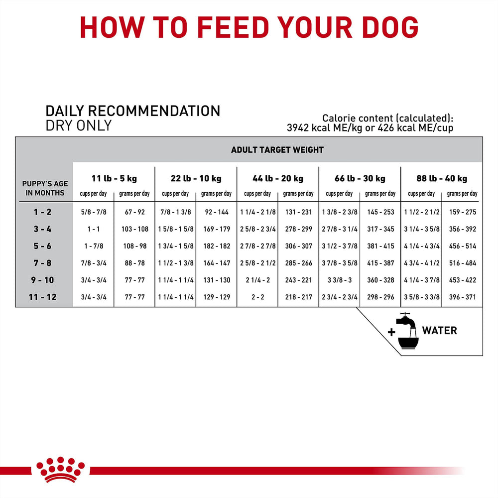 Royal Canin usage vétérinaire en clinique pour alimentation thérapeutique