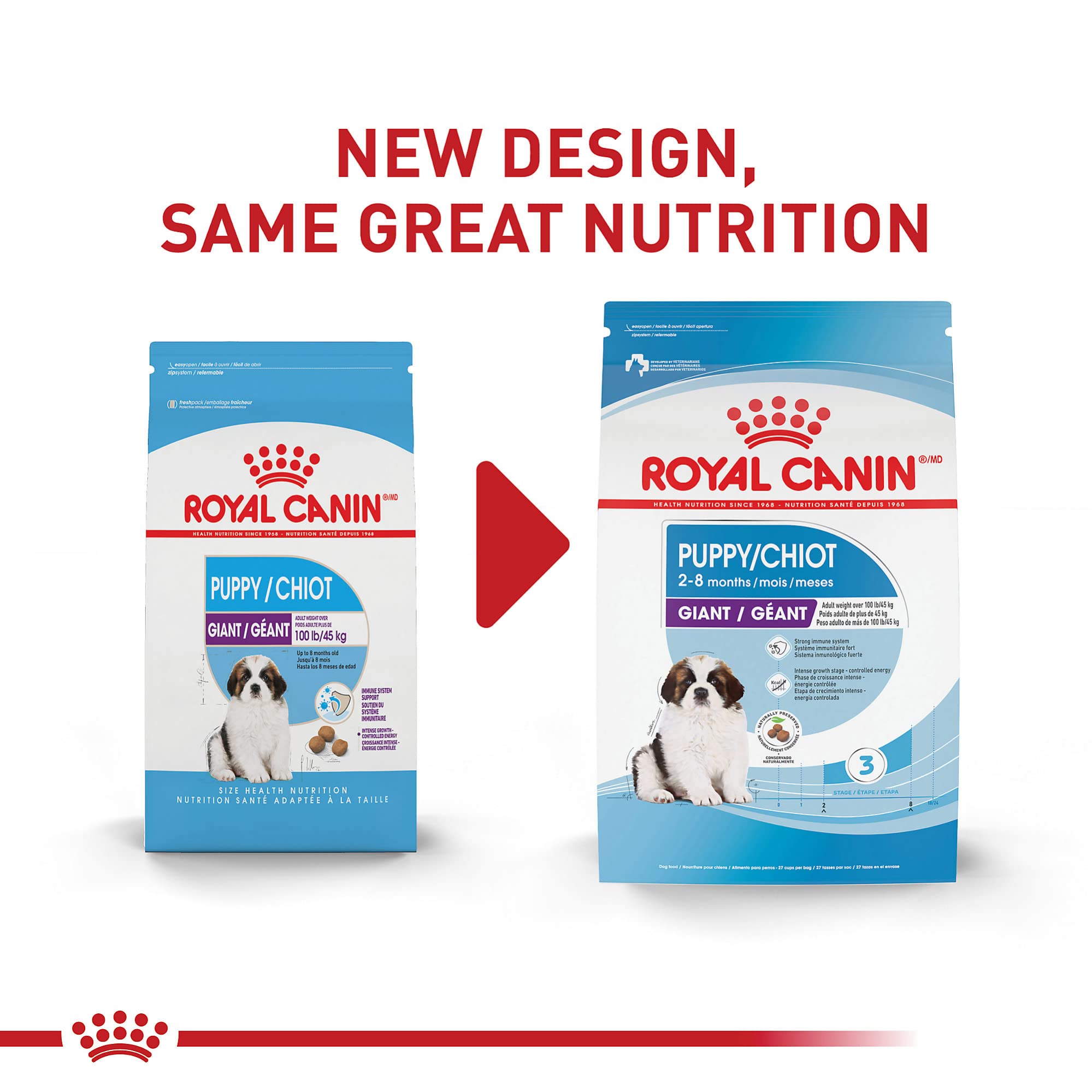 ROYAL CANIN gros plan sur la croquette Giant Puppy soulignant la texture croquante bénéfique