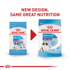 ROYAL CANIN gros plan sur la croquette Giant Puppy soulignant la texture croquante bénéfique