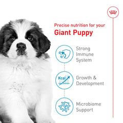 ROYAL CANIN comparaison d’échelle montrant la taille de la croquette et adaptation mâchoire