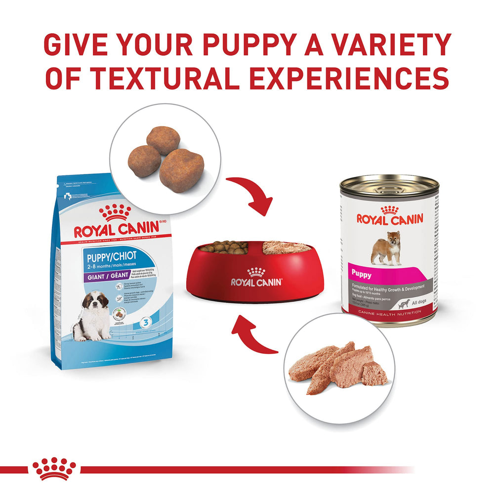 ROYAL CANIN mise en avant d’ingrédients clés pour croissance osseuse et développement cérébral