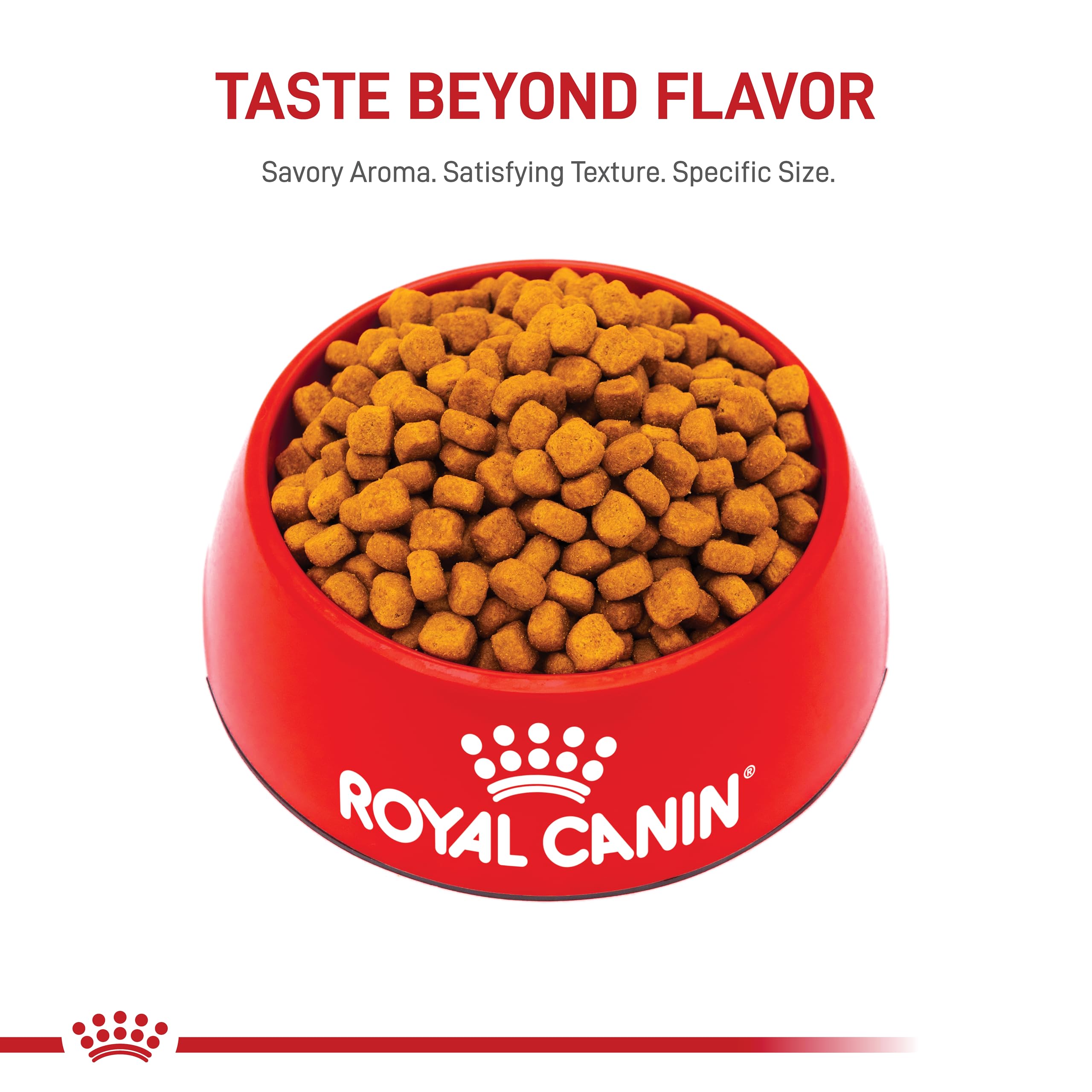 ROYAL CANIN mise en scène lifestyle jardin montrant chiot actif nourri avec Giant Puppy