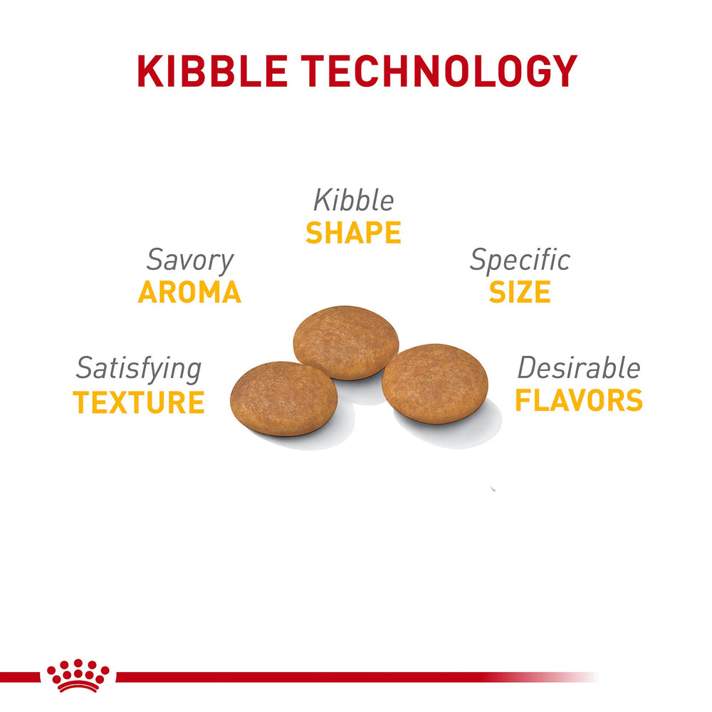 ROYAL CANIN gros plan sur forme et texture des croquettes pour meilleure appétence