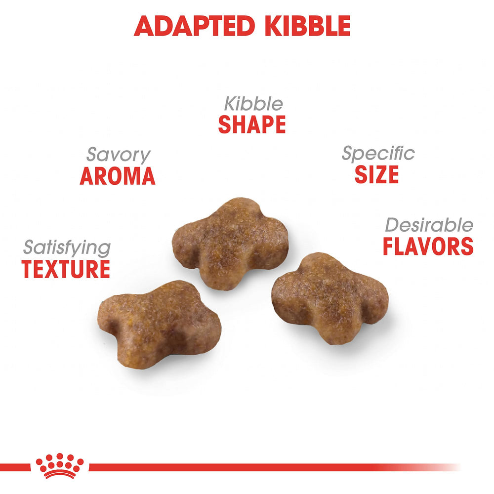 Royal Canin gros plan sur la texture des granulés pour digestion facilitée