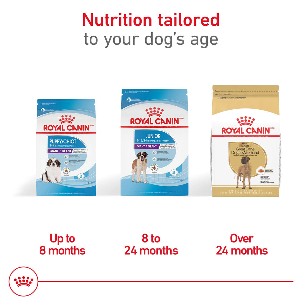 ROYAL CANIN comparaison de taille illustrant portion et contrôle calorique