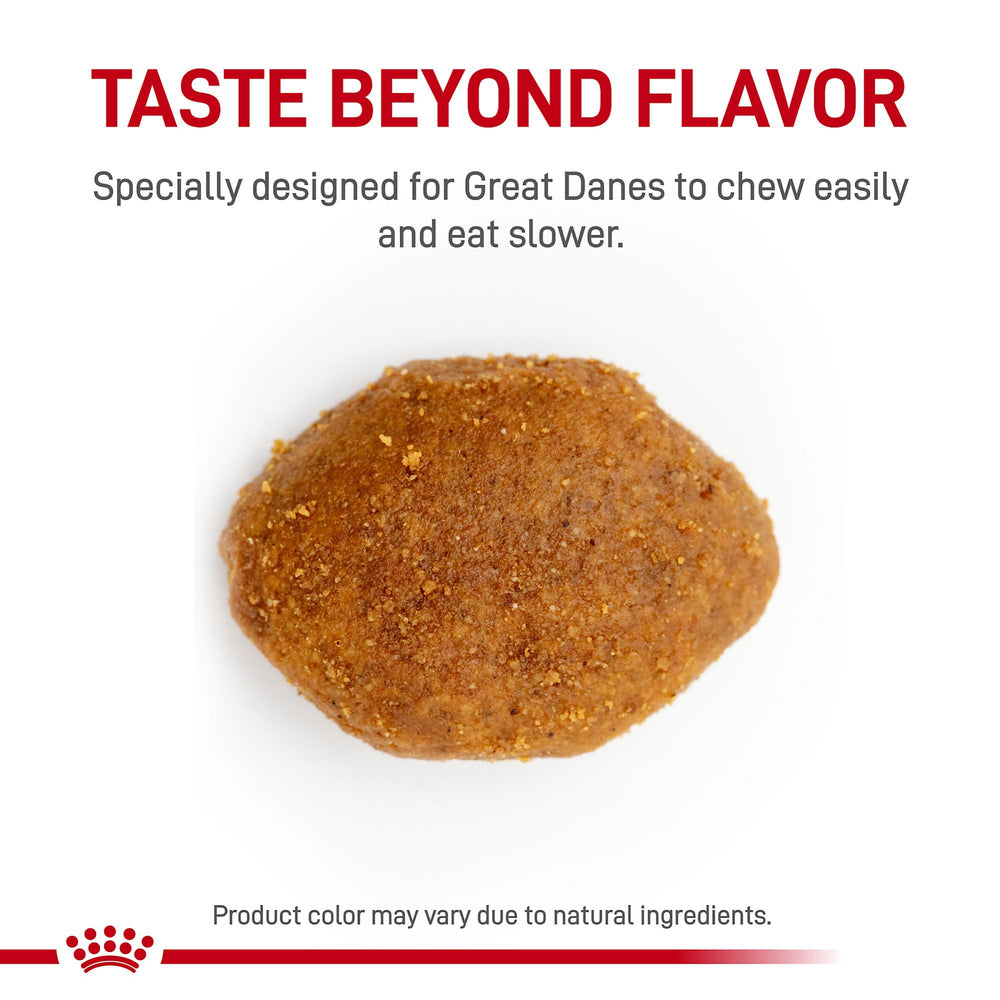 ROYAL CANIN gros plan croquette adaptée favorisant mastication et satiété