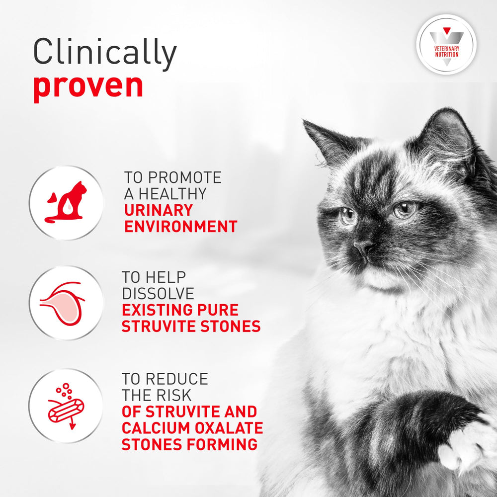 ROYAL CANIN gros plan sur la granulométrie pour une meilleure appétence