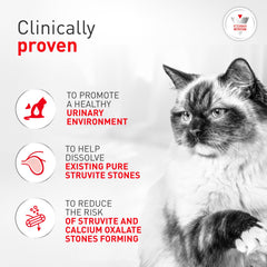 ROYAL CANIN gros plan sur la granulométrie pour une meilleure appétence