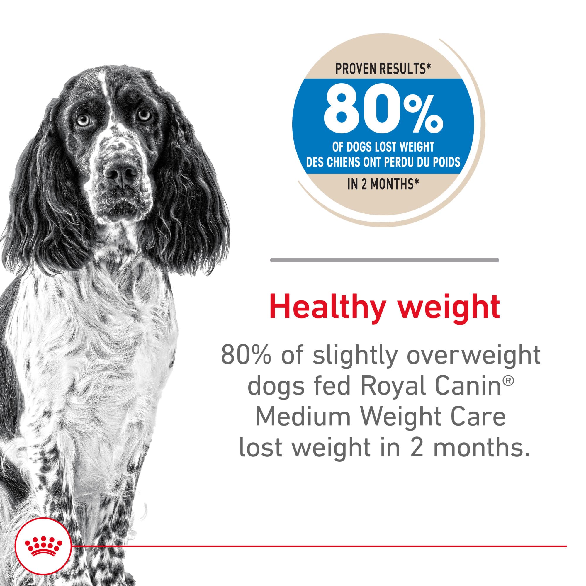 ROYAL CANIN gros plan croquettes, texture appétente et rassasiante