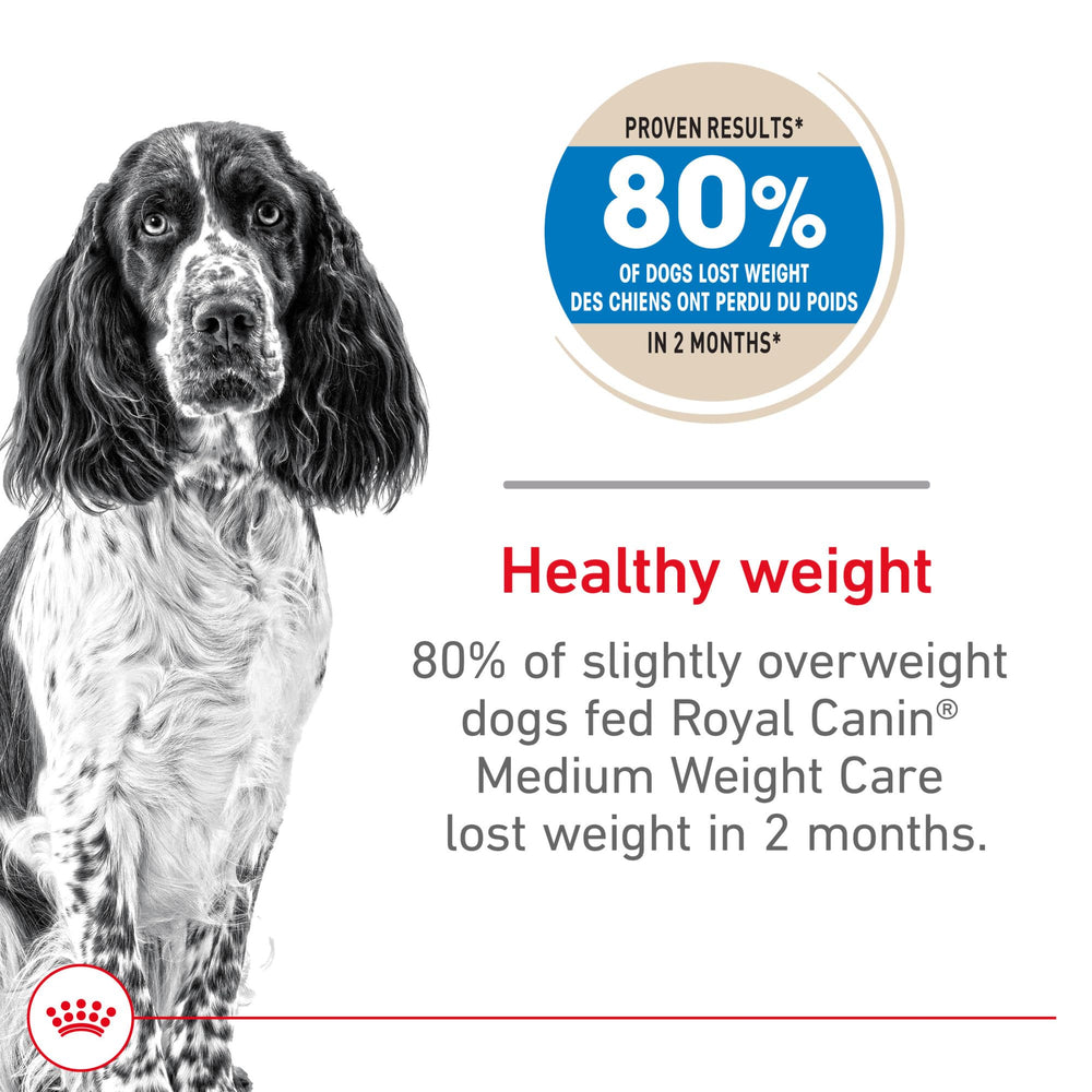 ROYAL CANIN gros plan croquettes, texture appétente et rassasiante