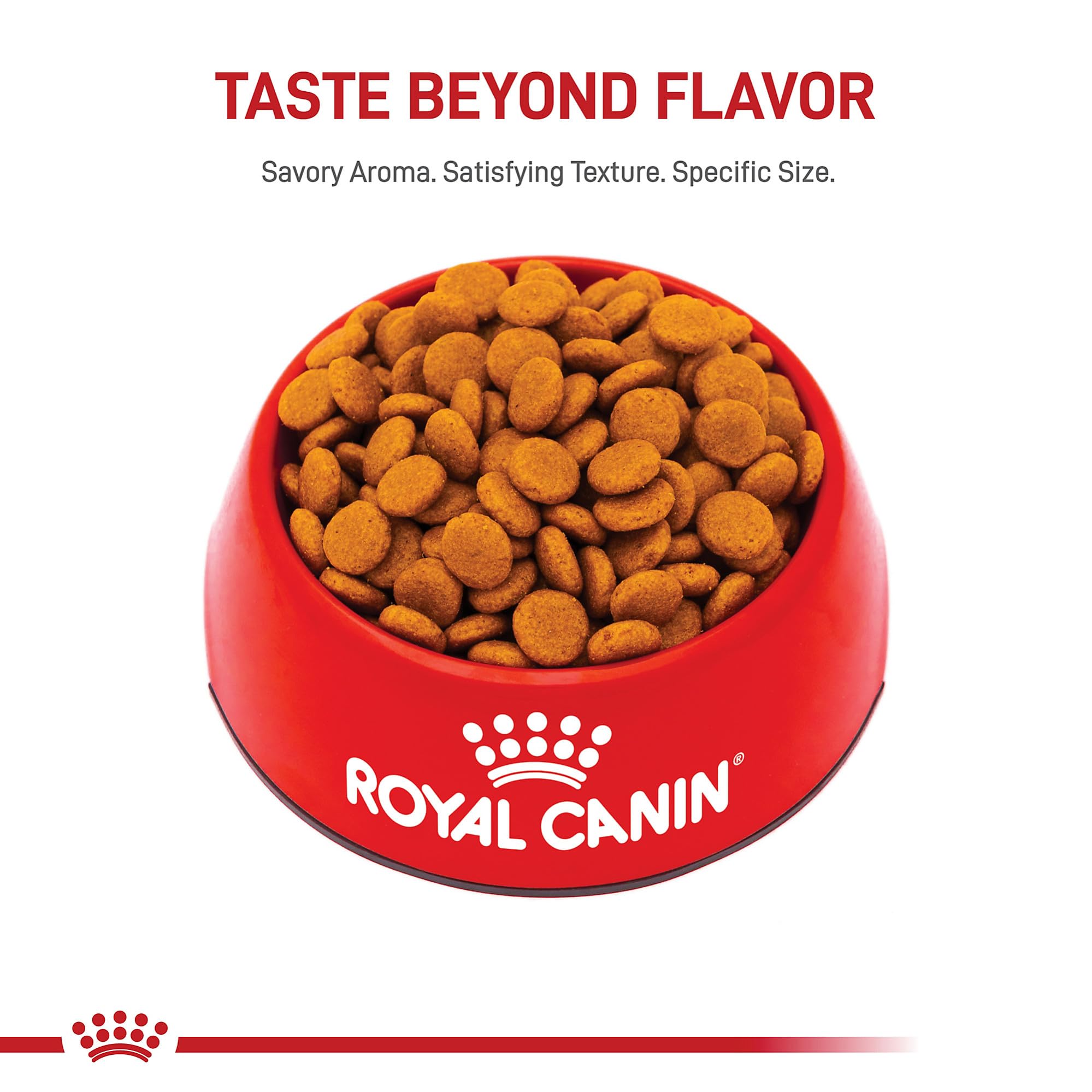 ROYAL CANIN gros plan des croquettes montrant la texture pour digestion facilitée