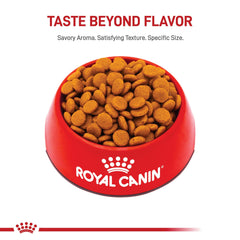 ROYAL CANIN gros plan des croquettes montrant la texture pour digestion facilitée
