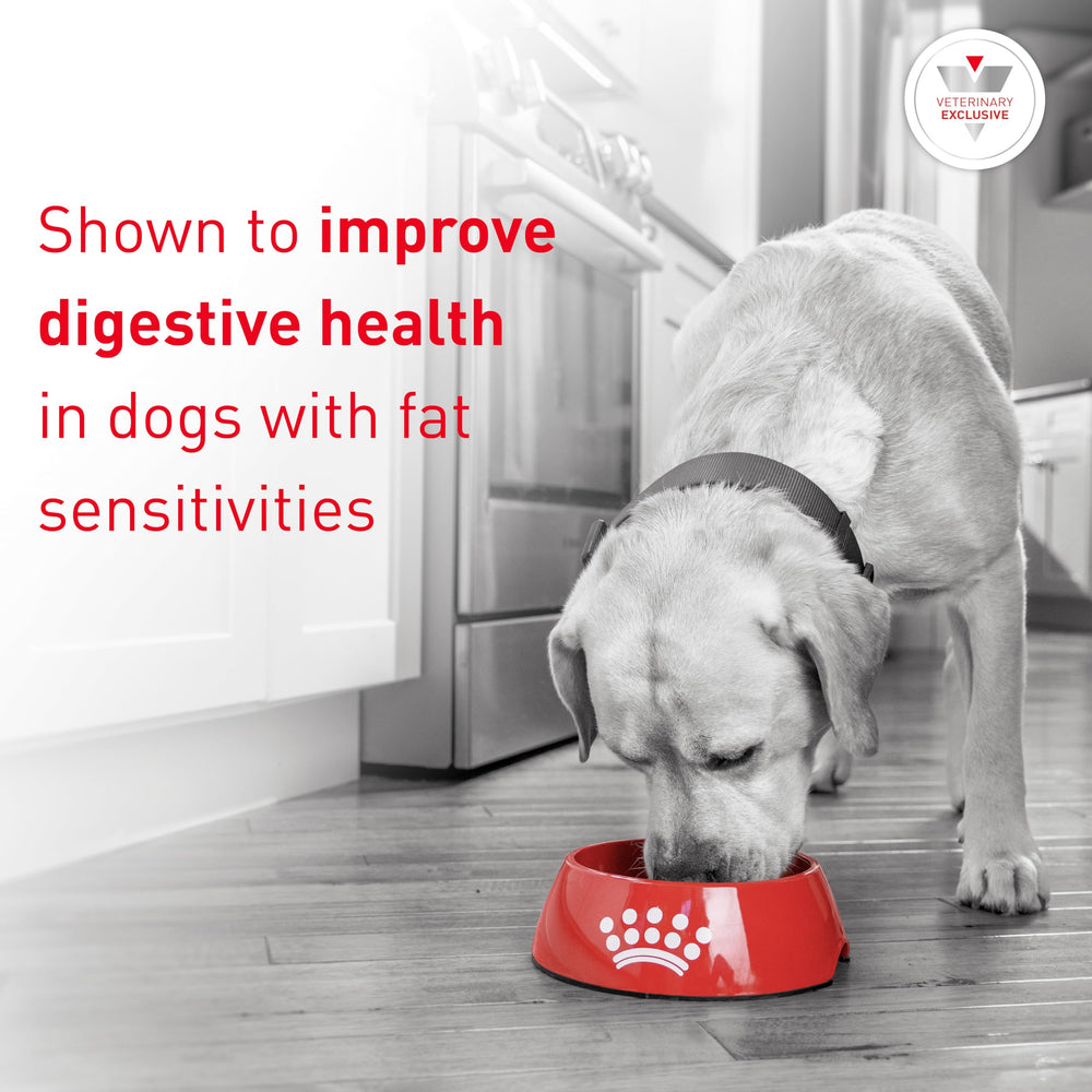 ROYAL CANIN gros plan sur texture des croquettes pour meilleure appétence