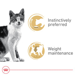 Royal Canin gros plan sur fines lamelles en sauce, appétence et texture visible