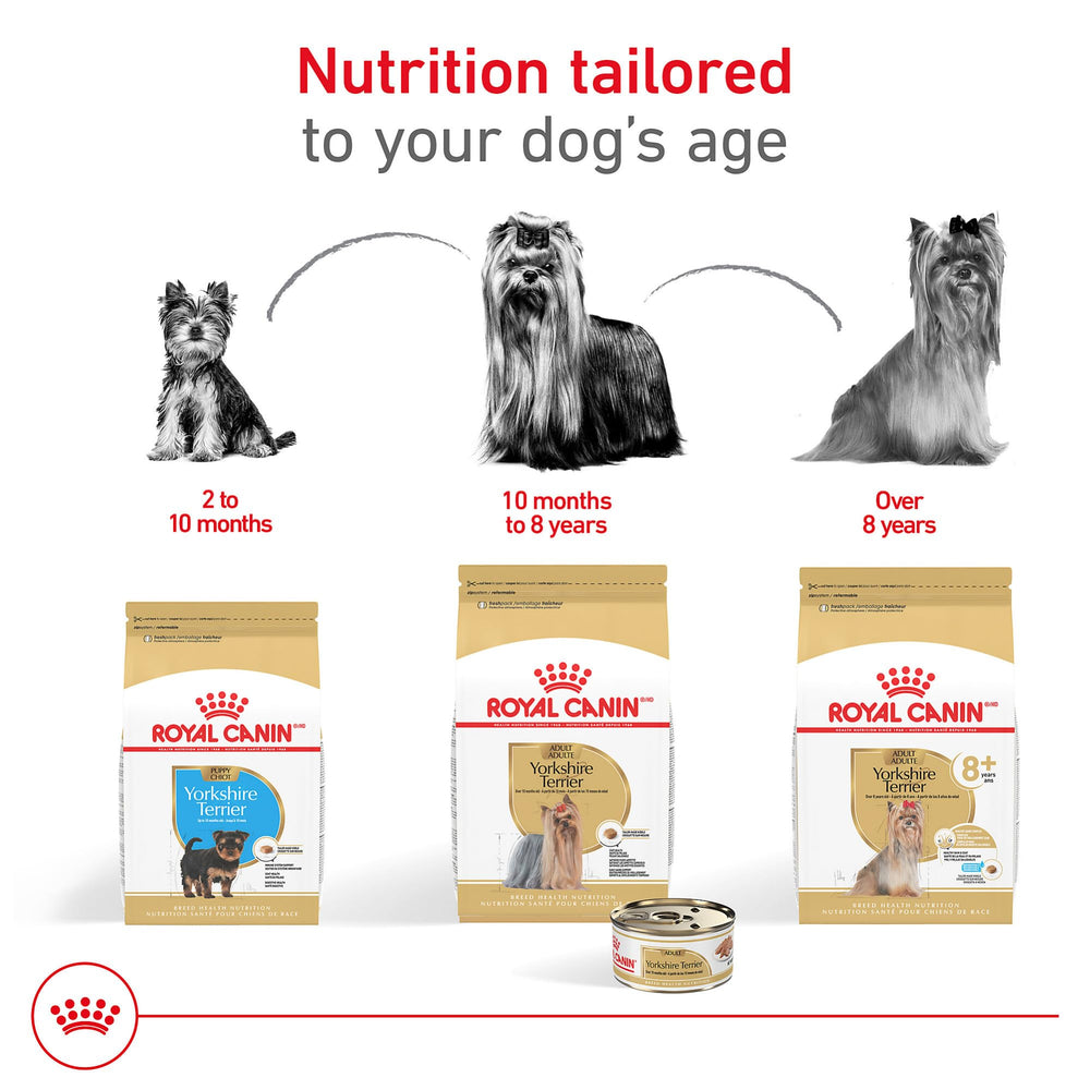 ROYAL CANIN bol de pâtée montrant hydratation et attractivité du produit