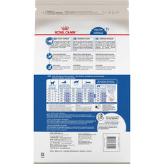 ROYAL CANIN gros plan sur croquette montrant texture et tendreté utile