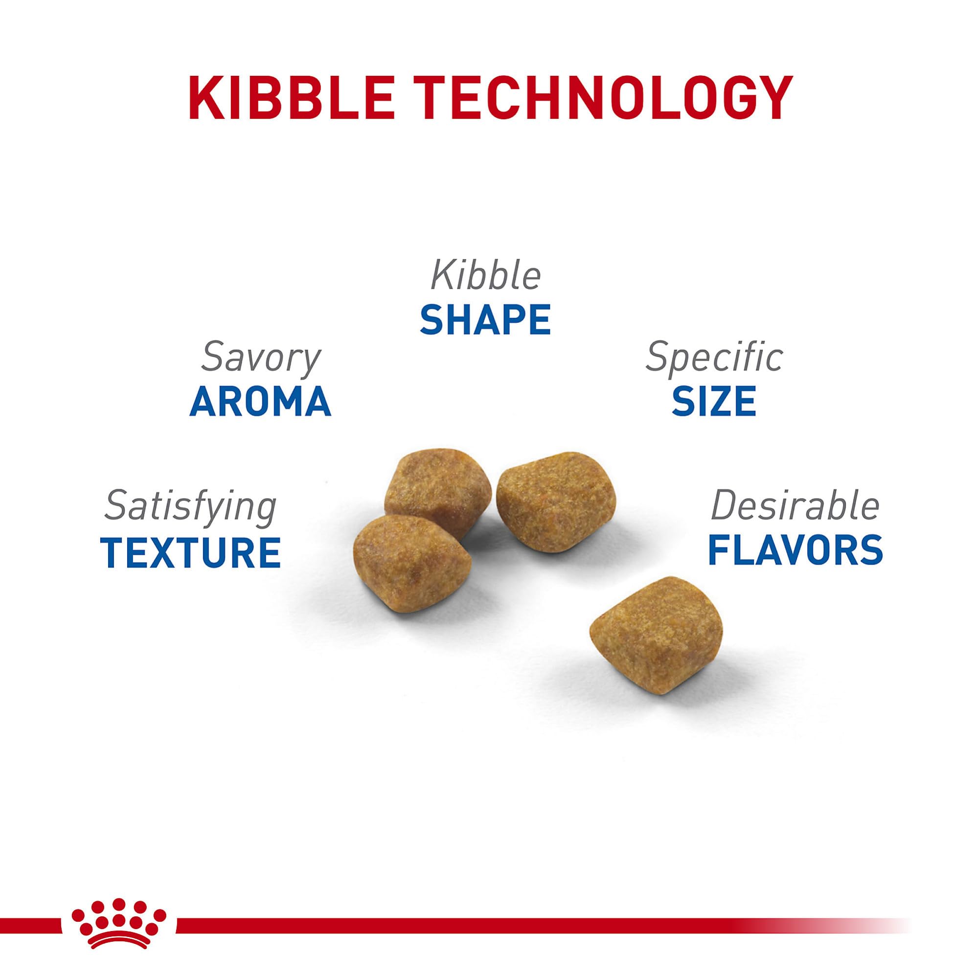 ROYAL CANIN croquettes dans la main pour montrer l'échelle et la portion