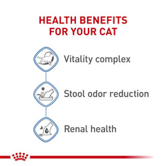 ROYAL CANIN verso du sac avec informations nutritionnelles lisibles