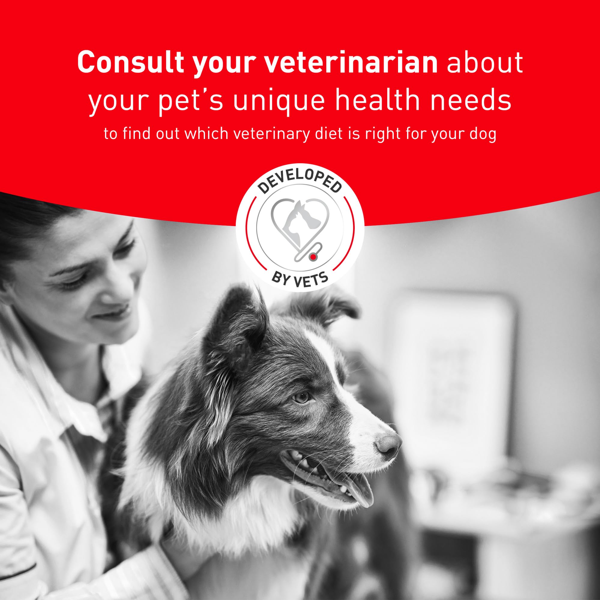 ROYAL CANIN zoom ingrédients sources de fibres pour une glycémie stable