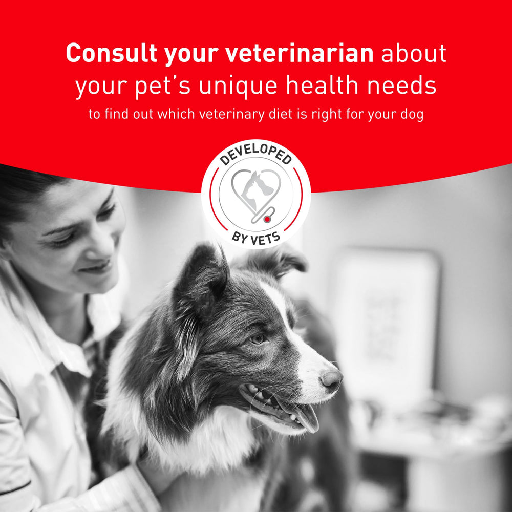 ROYAL CANIN zoom ingrédients sources de fibres pour une glycémie stable