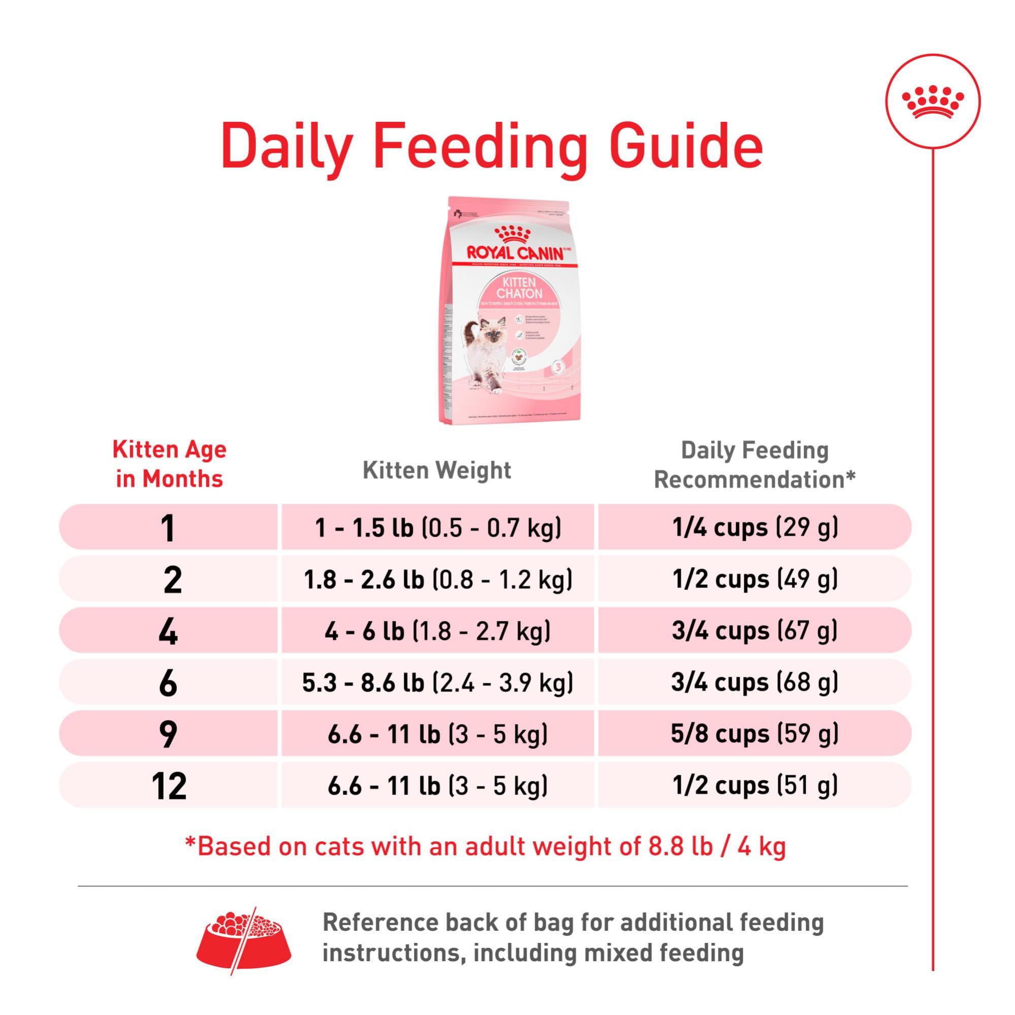 ROYAL CANIN chaton joue à la maison montrant vitalité due à la nourriture