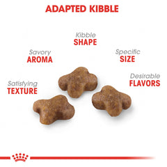 ROYAL CANIN croquettes dans la main illustrant portionnage pratique