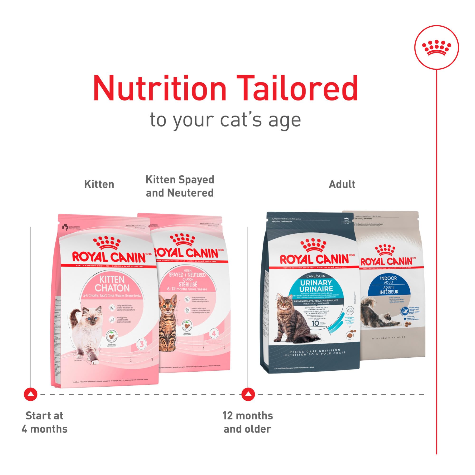 ROYAL CANIN croquette à l'échelle de la main pour taille adaptée chaton