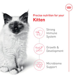 ROYAL CANIN détail de la texture pour digestion facilitée et appétence
