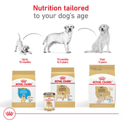 ROYAL CANIN bol avec croquettes réhydratées illustrant facilité de consommation
