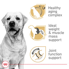 ROYAL CANIN gros plan croquette montrant texture pour mastication facilitée