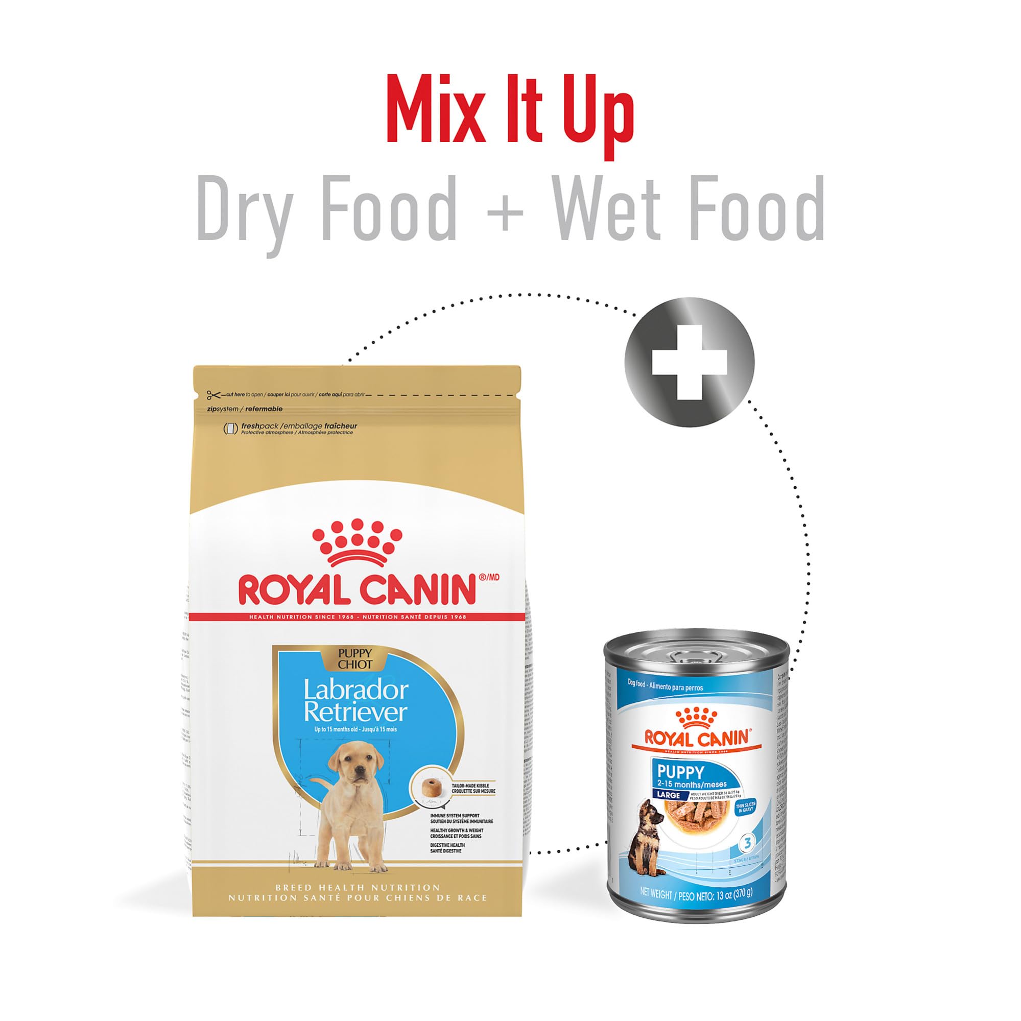 ROYAL CANIN comparaison taille kibbles avec main pour évaluer l'échelle, guide pratique
