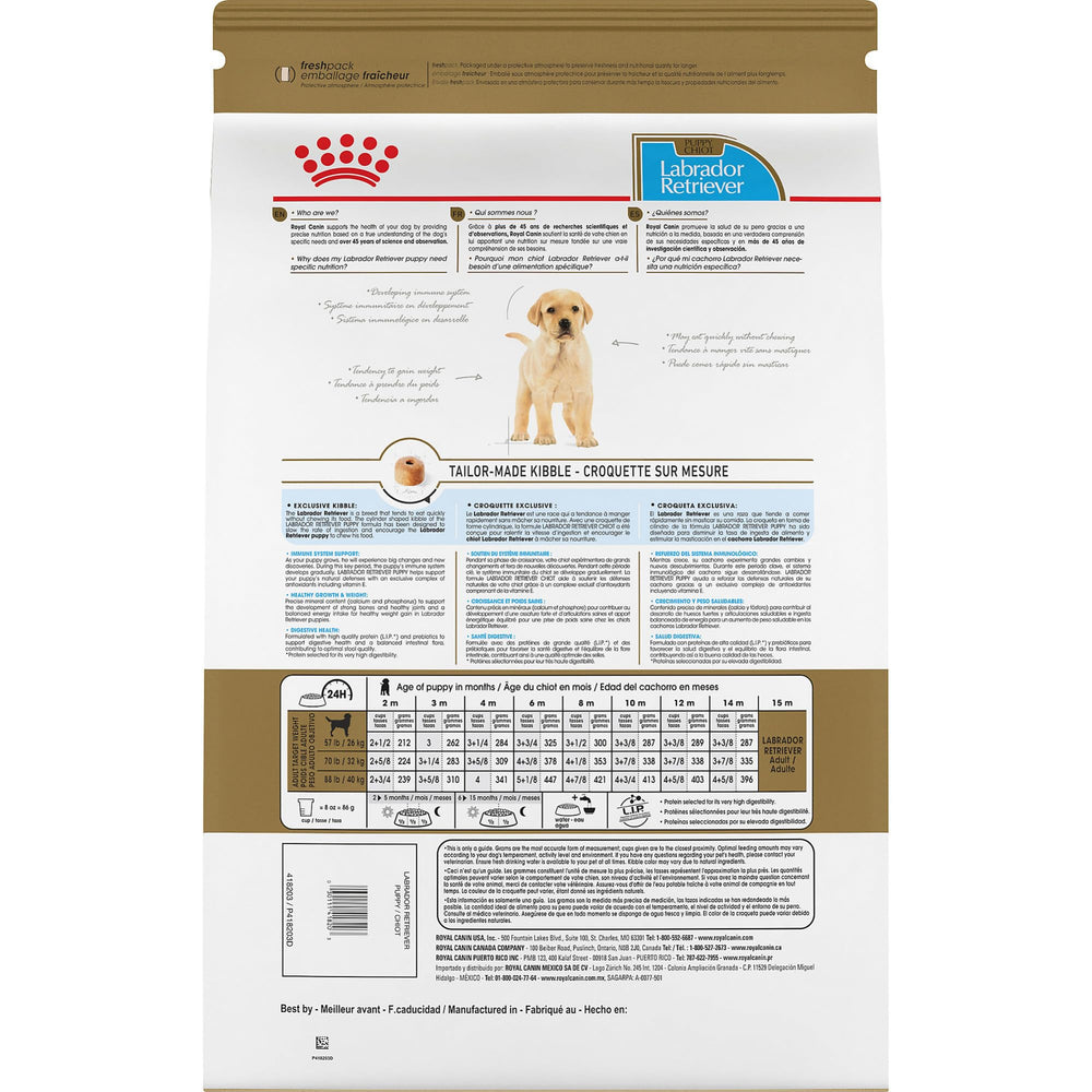 ROYAL CANIN gros plan sur croquette montrant texture et densité, facilite mastication
