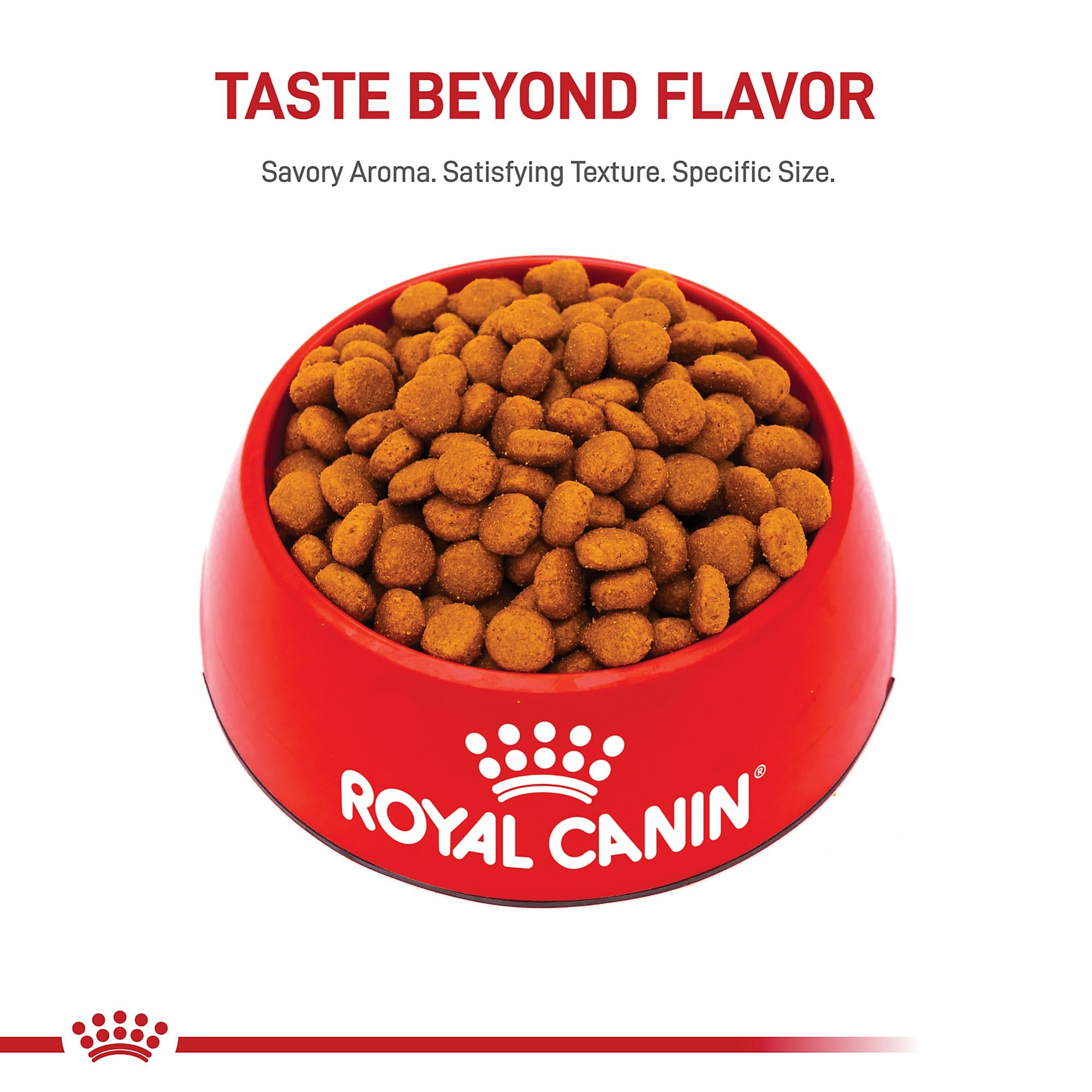 ROYAL CANIN bol plein montrant portion servie et appétence quotidienne