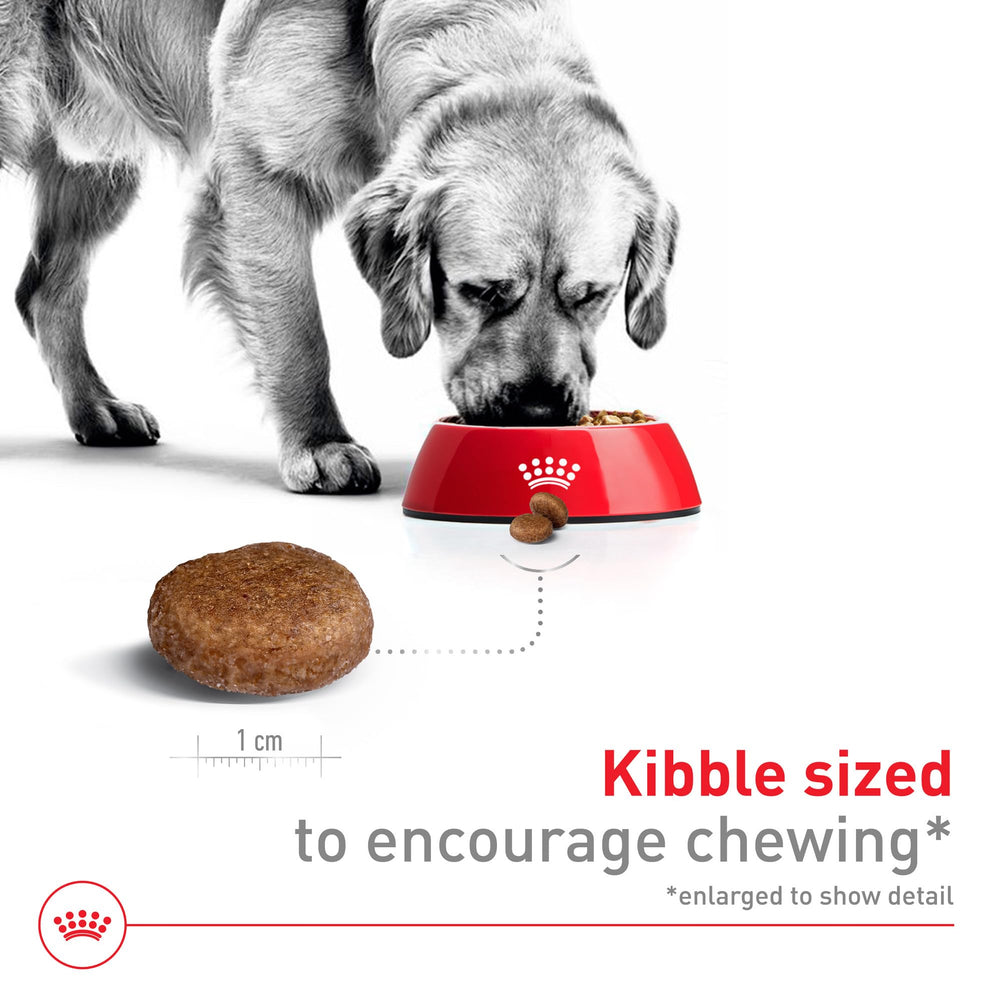 ROYAL CANIN profil de croquette illustrant forme exclusive pour mastication