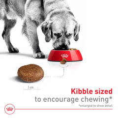 ROYAL CANIN profil de croquette illustrant forme exclusive pour mastication