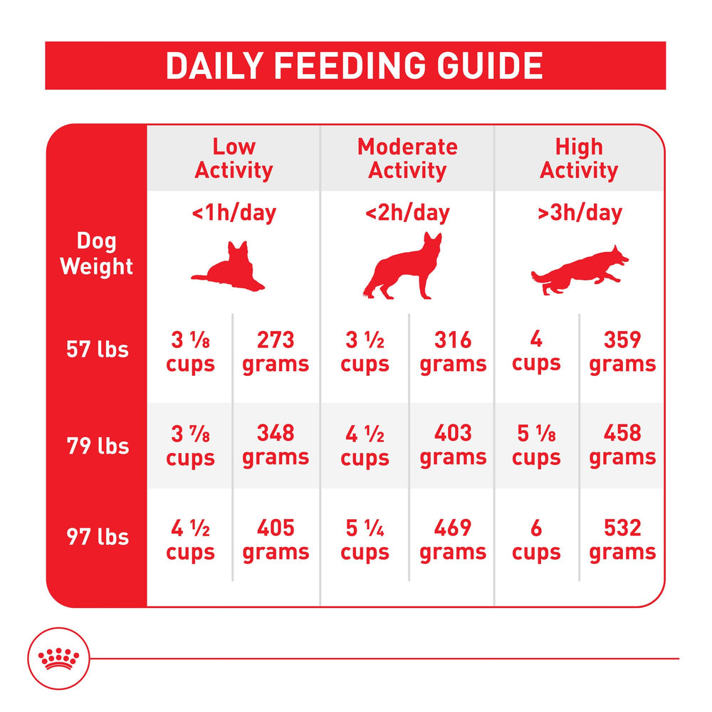 ROYAL CANIN ingrédients présentés mettant en valeur qualité et traçabilité
