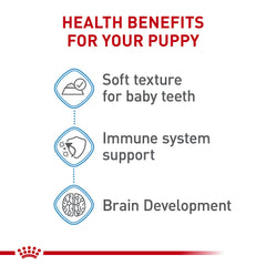 royal canin chiot qui mange, démontrant acceptation et confort digestif