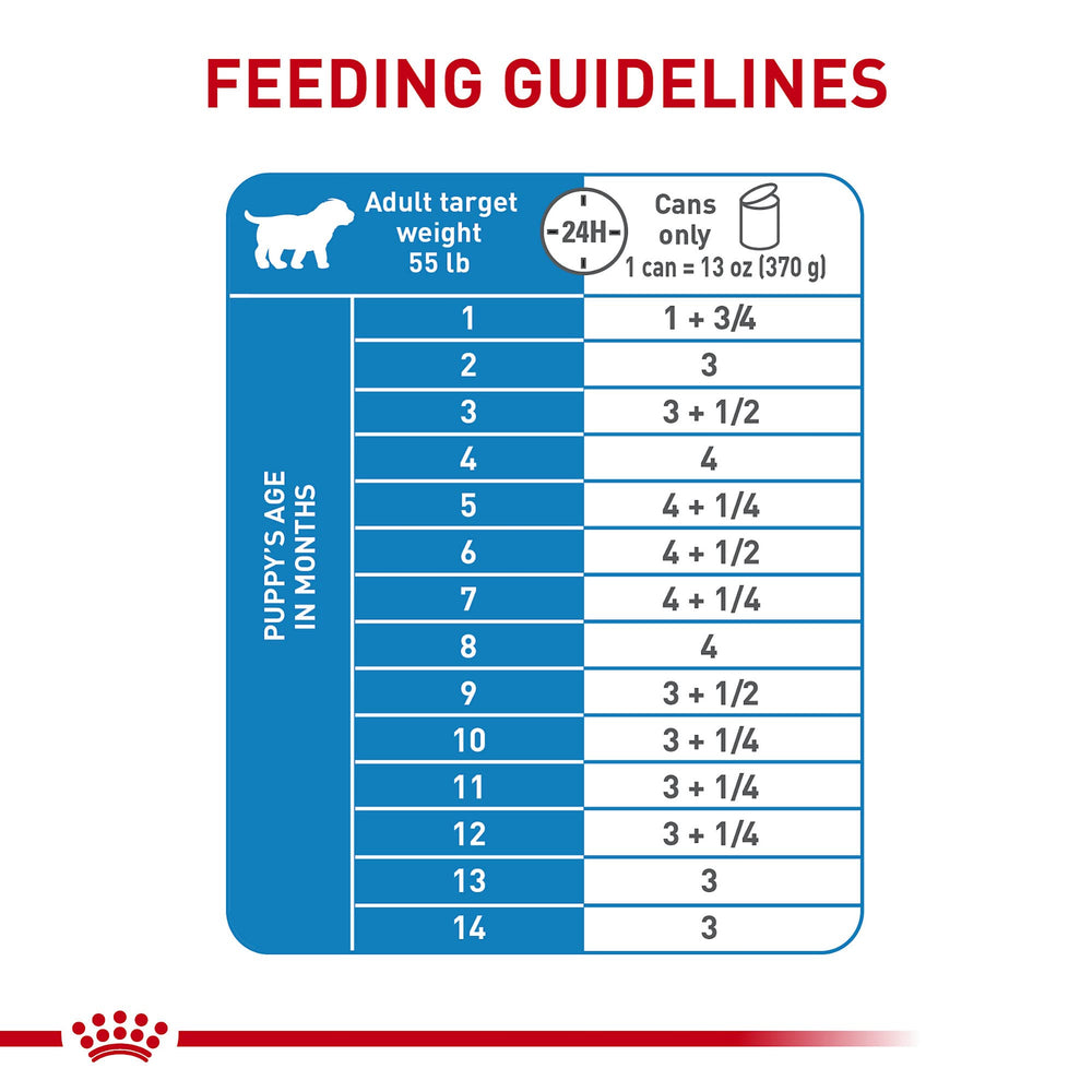 royal canin pack de six boîtes pour approvisionnement pratique et économique