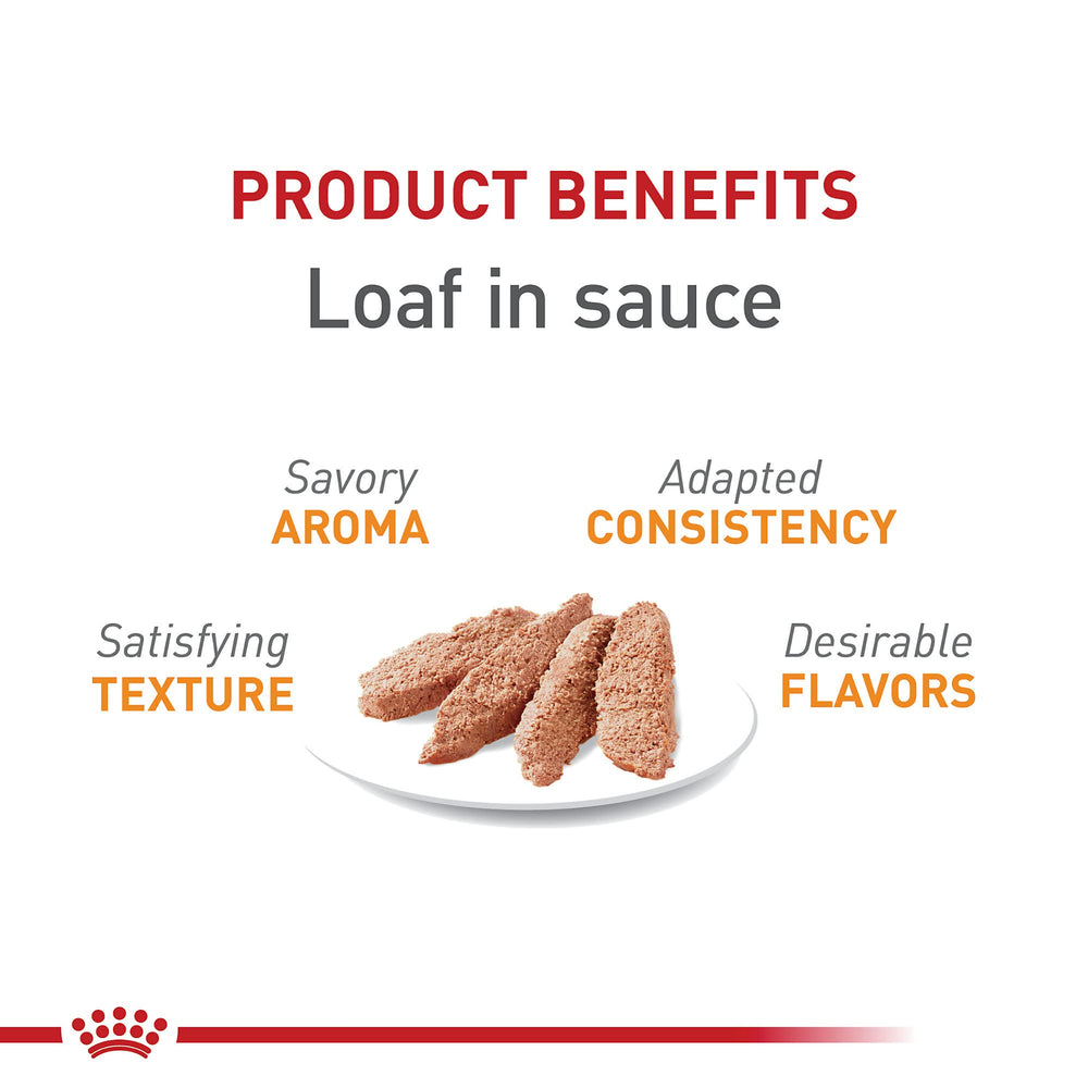 ROYAL CANIN texture loaf close‑up montrant sauce et appétence