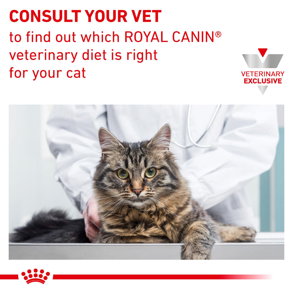 ROYAL CANIN main tenant une boîte soulignant facilité d'utilisation
