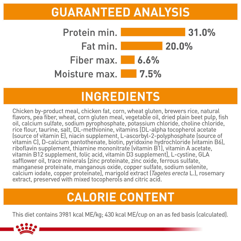 ROYAL CANIN croquettes versées dans la paume pour montrer portion pratique