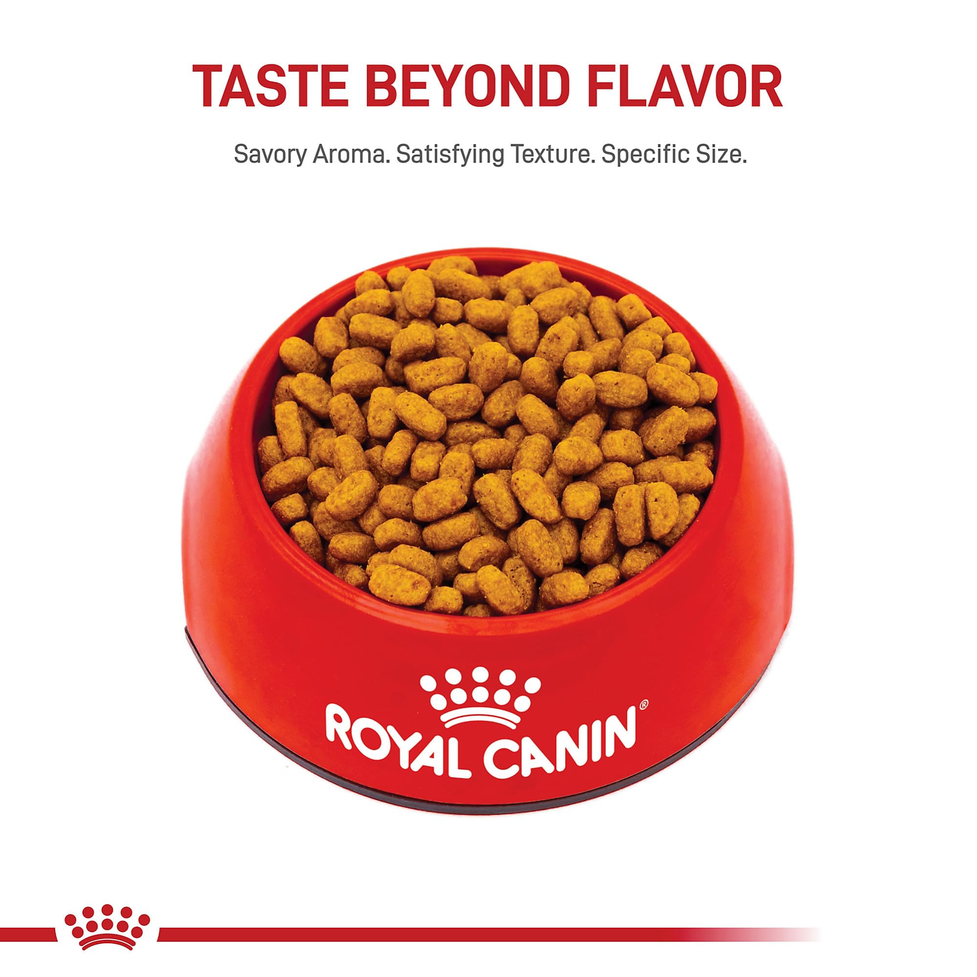 Comparaison de la taille de croquette ROYAL CANIN Maltese près d’un centimètre