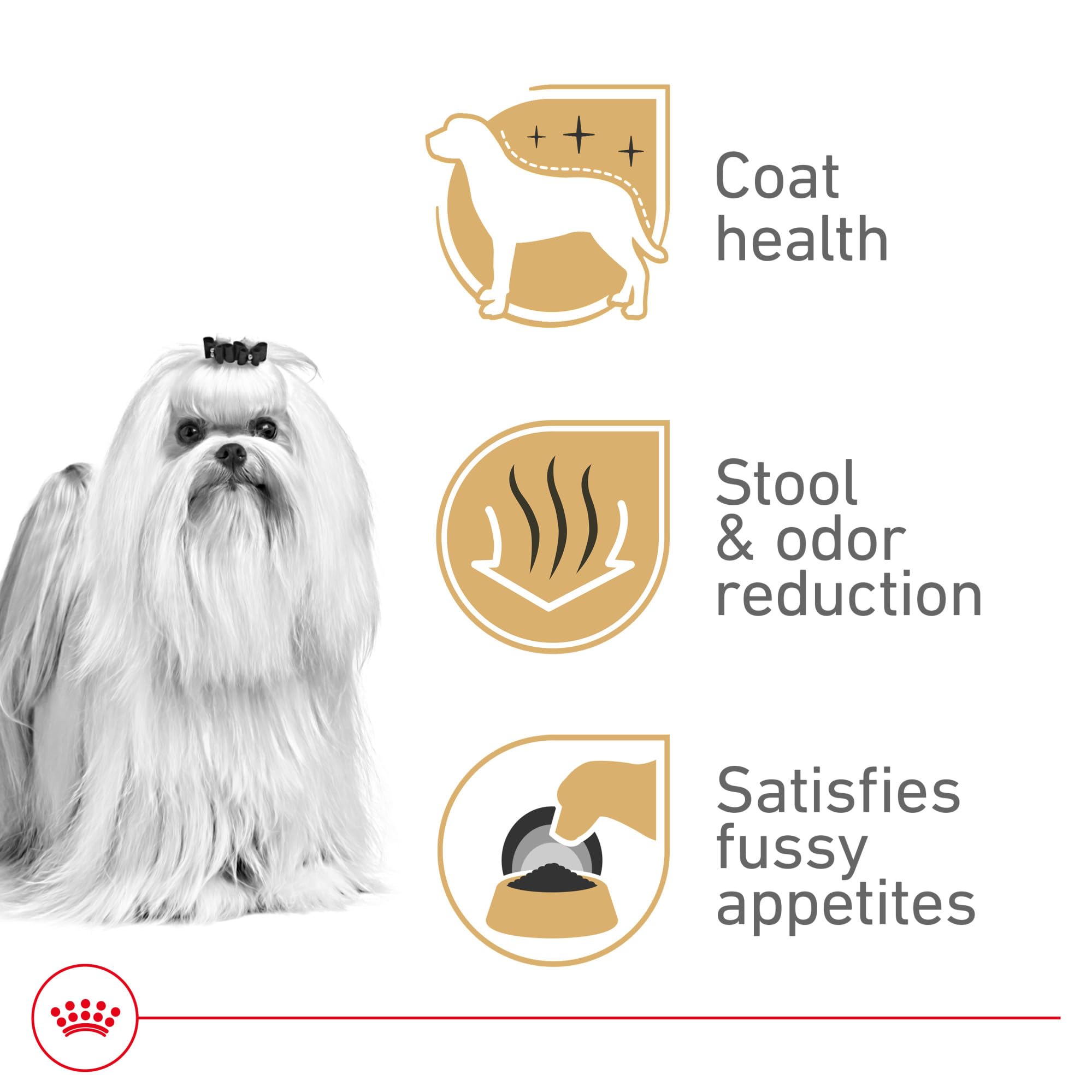 Détail de l’emballage ROYAL CANIN Maltese avec informations nutritionnelles claires