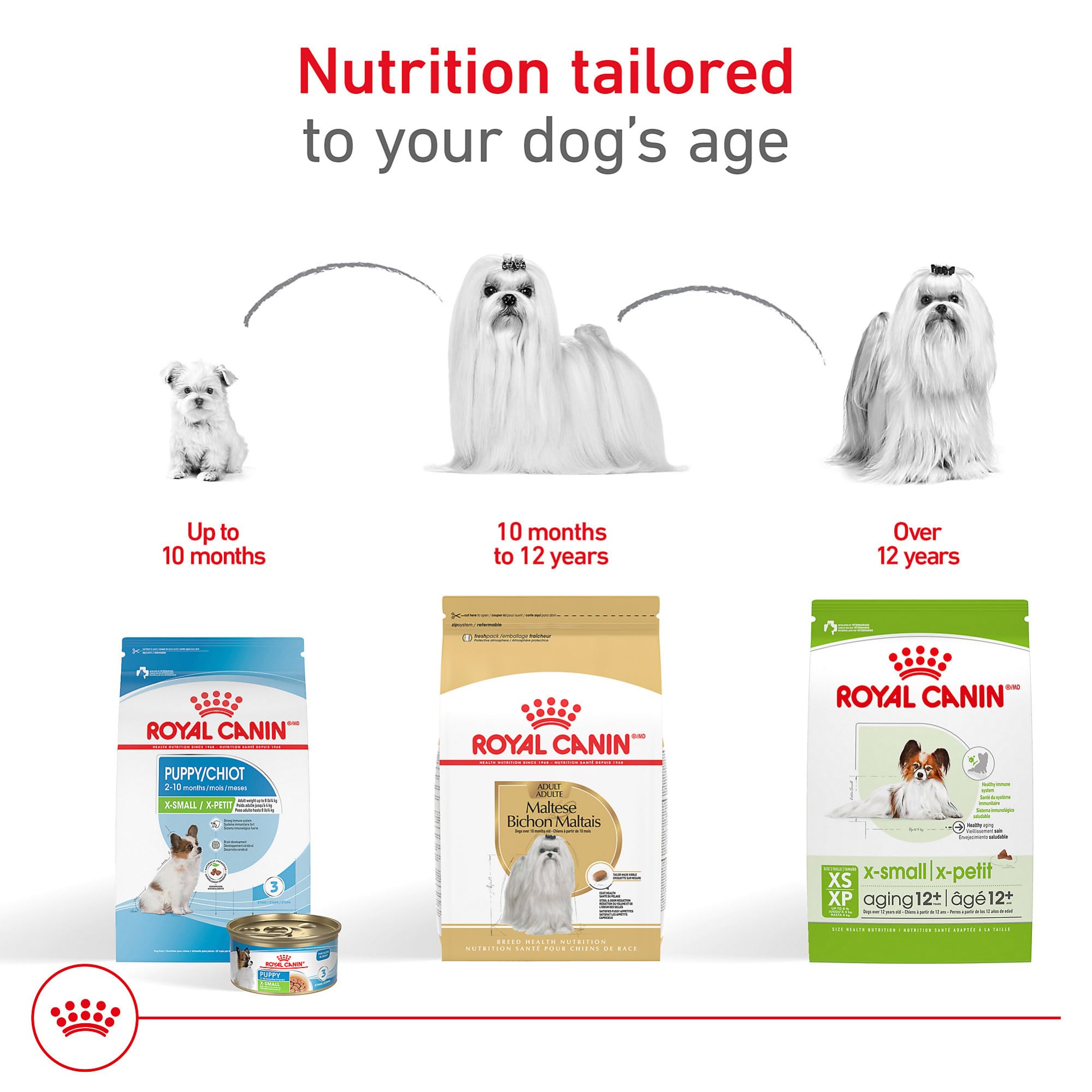 Sachet ROYAL CANIN Maltese ouvert montrant texture et croquettes attractives